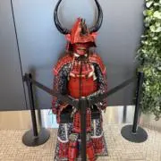 ねぎくんの画像