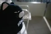じと丸の画像