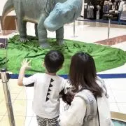 ママみんの画像