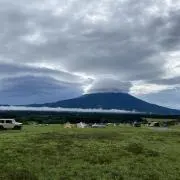 BSBの画像