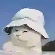 ぴ※まとめ買い歓迎の画像