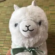 アルちゃんの画像