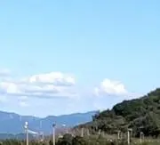 ゆんの画像
