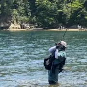 すずこう。の画像
