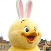 あめの画像