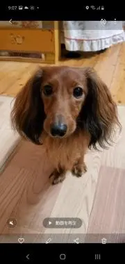 べるちゃん