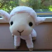 ひなままの画像