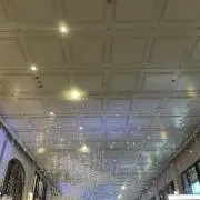 ぱるの画像