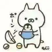 柚子@グッズ整理中の画像