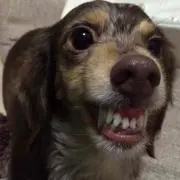 ザキみや