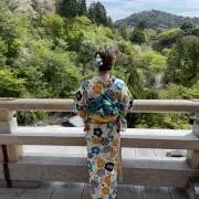 Rの画像