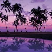aloha