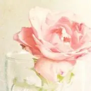 りりこの画像
