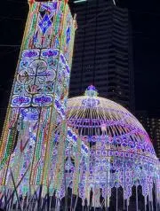ビッグアイの画像