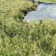 たー