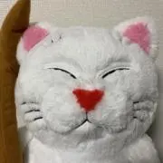 karin 即購入大歓迎☆の画像