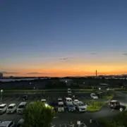 アッシーの画像