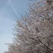 poppoの画像