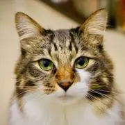 Image of Jun Jun