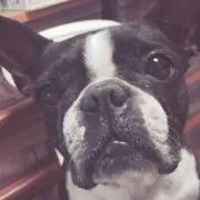 mycocoの画像