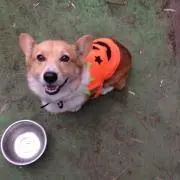 さんたの母さん