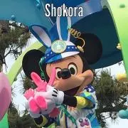 Shokoraの画像