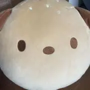 もたの画像