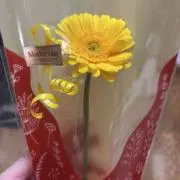 うーの画像