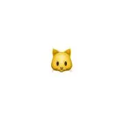 ねこの画像