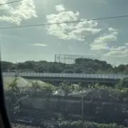 kaminomanimaniの画像