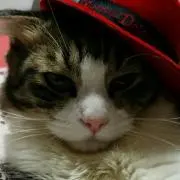 ふみえ