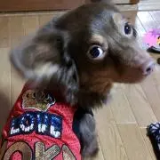 Love♡　プロフ必読の画像