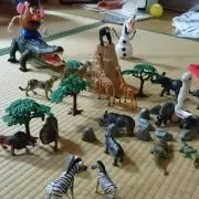 ジョージの画像