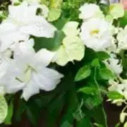 値下げ交渉は希望額をm(_ _)mの画像