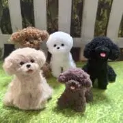 miの画像