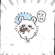 メラ子 ちいかわ+その他グッズ整理中の画像
