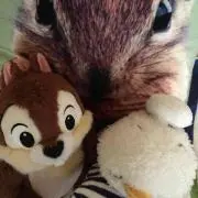 manekobutaの画像