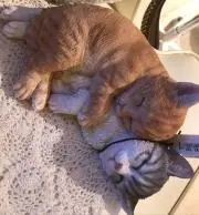 リョー