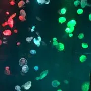 ちっちー