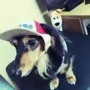 ♡むめ♡の画像