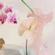 y♡の画像