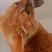 なの画像