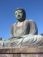 ゴルシの画像