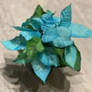 aの画像