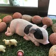 ハイ〜