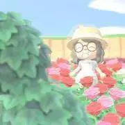 ︎✿ ykの画像