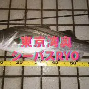 HANA―SHOPの画像