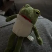 カエルの画像