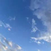 りぃの画像
