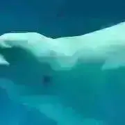 サラサチ　天然石商品いっぱいの画像